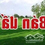 Cần bán đất cổ linh thạch bàn long biên hà nội