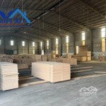 Cho thuê xưởng 5.200m2 kcn hố nai 3 giá 4usd/m2