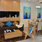 Tôi cần cho thuê căn hộ himlam riverside quận 7, 2pn, 2wc full nội thất giá 15tr/tháng