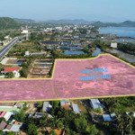 2.4ha mặt đường ql1a có sẵn 2200m2 thổ vạn hưng vạn ninh ngay khu dân cư hiện hữu