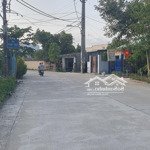 Bán đất gần chợ miếu bông, các thôn phong nam, quan châu, cồn mong