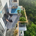 Bán Nhanh Căn Penthouse Hưng Vượng 2, Phú Mỹ Hưng, Q7