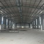 Cho Thuê Xưởng 4000M2 Kcn Hải Sơn - Long An( Mới 100%) 225 Triệu/Th