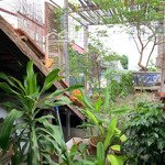 150m, 2 homestay phong cách biệt thự pháp giữa khu phố hàng. ngõ 3m, cầu thang riêng. nhỉnh 7 tỷ