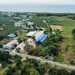 Bán lô đất đẹp 3920m2 25 tỷ 5 mặt tiền đường âu cơ - xã tiến thành - tp phan thiết