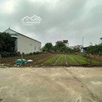 200m2 full thổ cư ngõ ô tô tránh nhau, cạnh đấu giá, cạnh vành đai 4