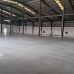 Cho thuê xưởng dt 10.000m2 đức lập hạ đức hòa long an