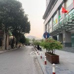 Tôi là chủ nhà, bán căn hộ chung cư cao cấp 3pn, tòa green park tower - dương đình nghệ