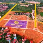 Bán lô đất dream city bắc giang, hướng đông nam