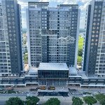 Cho thuê căn hộ tầng trệt celesta rise, 106m2 + 36m2 sân vườn. giao hoàn thiện, giá thuê: 25 triệu