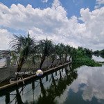 Cho thuê nhà vườn view sông làm homestay, nhà nghỉ, nhà hàng.. tại cần giuộc