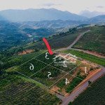 Bán lô đất biệt thự 1000m2 view săn mây đẹp nhất bảo lâm - sẵn sổ chỉ 1.55 tỷ còn thương lượng