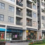 Cần chuyển nhượng shophouse chân đế s217.diện tích 138 m2,chính chủ, đang cho thuê 50 triêu/ tháng