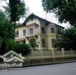 Bán biệt thự pháp cổ 2 tầng trung tâm q. hai bà trưng,kinh doanh cực đỉnh,196m,giá chào 90 tỷ.