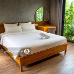 đầu tư dòng tiền khủng 110 triệu/tháng - sát góc view sông hàn - gần sun cosmo trần thị lý - 20 tỷ