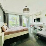 1 phòng ngủđẹp như tranh - thang máy - bancong view sông ngay khu trung tâm giá hạt dẻ