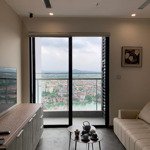 Chính Chủ Cho Thuê Nhà 1 Phòng Ngủ Vinhomes Sky Park Bắc Giang