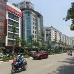 Bán tòa nhà 10 tầng, mặt phố trần thái tông- cầu giấy dt gần 100m2, mt 6m, vỉa hè rộng, kinh đỉnh.