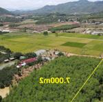 Bán 2.000m - 7.000m2 đất cây lâu năm quy hoạch full thổ cư đường nhựa hl62 xã khánh phú giá rẻ