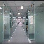 Văn phòng 300m2 - 530m2 (đã sẵn fitout sẵn đi vào làm việc ngay) mt bùi thị xuân, quận 1