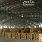 Cho thuê kho siêu vip đa dạng diện tích (300m2, 500m2, 700m2, 1000m2) khu cư xá bắc hải, quận 10