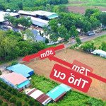 định cư sang úc cần bán lại 2250m2 đất thổ cư shr mt đường tỉnh cạnh chợ ủy ban dân đông giá 110 tr