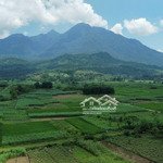 Bán đất nghỉ dưỡng ba vì view triệu đô tại đa cuống - vân hoà - ba vì