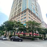 Bán Chung Cư Cao Cấp Hoàng Thành Tower Phố Mai Hắc Đế - Căn Góc 124M2 Giá Nhỉnh 17 Tỷ