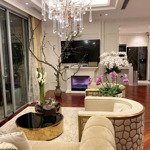 Gia đình cần tiền vào việc gấp nên cần bán căn góc 4 ngủ bên park hill-full nội thất cao cấp