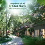 Park villas biệt thự đảo siêu vip tại eco central park