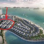 Chỉ 8,x tỉ có ngay căn biệt thự liền kề 104m2 hướng đông nam dự án grand bay hạ long