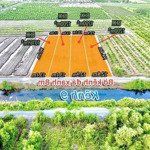 đất vườn rẻ đẹp ở thủ thừa long an