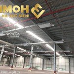 X1042. cho thuê kho xưởng kcn tp hải phòng 5000m2 pccc tự động giá 101.926đ/m2