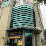 Chính chủ bán gấp chung cư cao cấp roman plaza - tố hữu, 2 ngủ, 2 vs, giá bán 4.9 tỷ.