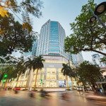 Đất Vàng Phố Cổ - Tay To Xây Building 11 Tầng - Nhỉnh 500 Triệu/M2 Mặt Phố Mai Hắc Đế - Full Sổ Đẹp