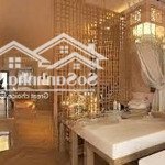 Cho thuê nhà mặt phố hàng bè. diện tích: 110m x 5 tầng. mặt tiền: 5m. giá 115tr