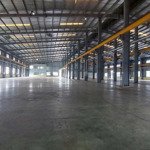 Xưởng cho thuê giá rẻ độc nhất 7000m2 kcn amata phường long bình, biên hòa chỉ 4usd/m2