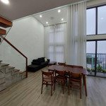 Chính chủ cần cho thuê căn hộ penhouse 60m2 2 phòng ngủ2vs tòa park 1 nhiều tiện ích view cực chill