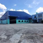 Cho thuê kho xưởng 3000m2 kcn xuyên á, đức hòa. pccc tự động, trạm hạ thế. giá 210 triệu