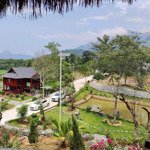 Bán homestay nghỉ dưỡng tại xã tiến xuân, thạch thất 7600m2 view cao đẹp, sẵn khuôn viên