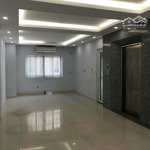 Cần bán nhà phố mặt tiền kdc phú mỹ 132m2 có tầng hầm thang máy - 27 tỷ (có tl) - có hđ thuê 2.500$