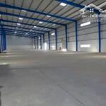 Cho Thuê Nhà Xưởng Mới Xây Dựng Diện Tích 3.600M2 - 7.350M2 Ở Phước Hòa, Phú Giáo, Bình Dương