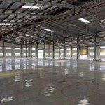 Cho Thuê Kho Xưởng Kcn Tân Đô - Hải Sơn, Long An Kv : 10.000M2, Xưởng : 6.600M2, Văn Phòng : 520M2