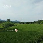 Lô đất 418m full thổ cư tại lương sơn view đẹp giá chỉ 1,15 tỷ đường to đẹp