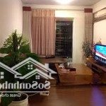 Cho thuê căn hộ phú hoàng anh 2pn và 3pn nhà decor cực đẹp giá siêu rẻ