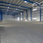 Cho thuê kho xưởng 30.000m2 huyện gò dầu, tây ninh. cho thuê lẻ từ 5000m2