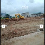 Bán 251m2 đất tàm xá đông anh. mt 10.5m.đường rộng 6m. cách vinhomes cổ loa 500m. giá 131tr/m2.