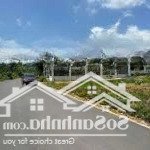 Bán đất giá chỉ 700 triệu, đường hùng vương, an điền, bến cát, shr, 130m2, sang tên ngay,