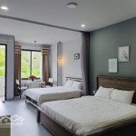 Bán nhà kiểu homestay kinh doanh, mặt tiền nguyễn đình chiểu ( cạnh napoleon castle )