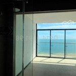 [bán gấp] căn hộ csj view biển 1 phòng ngủ- 52m2 - nhà trống nguyên bản siêu đẹp